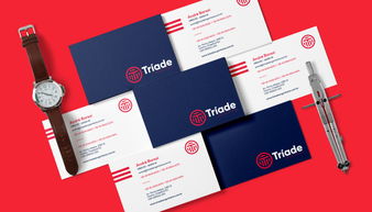 Triade 工业品检测企业logo设计品牌VI形象设计 上海品牌设计公司